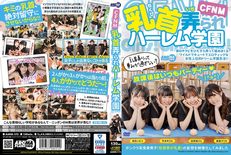 3811 aarm00173