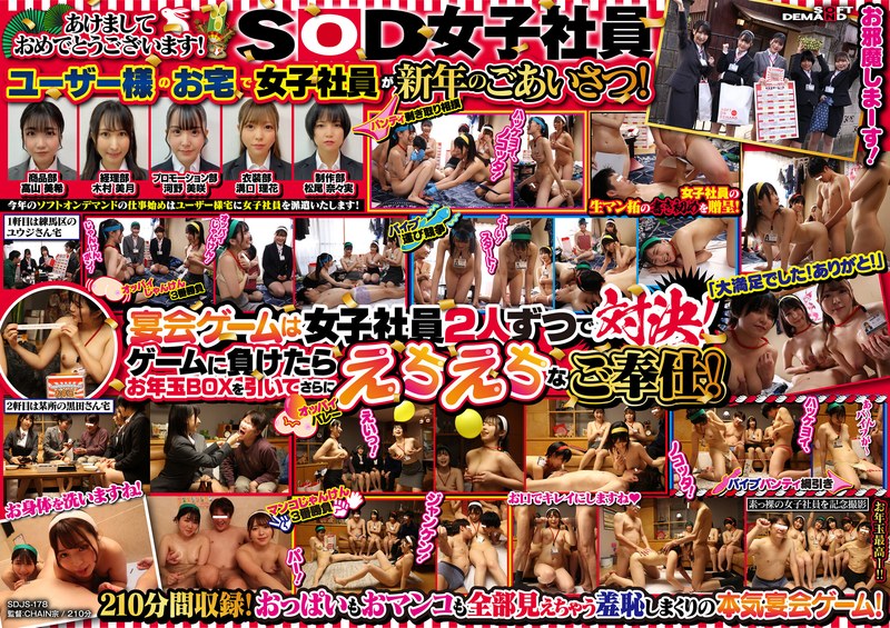 3902 1sdjs00178