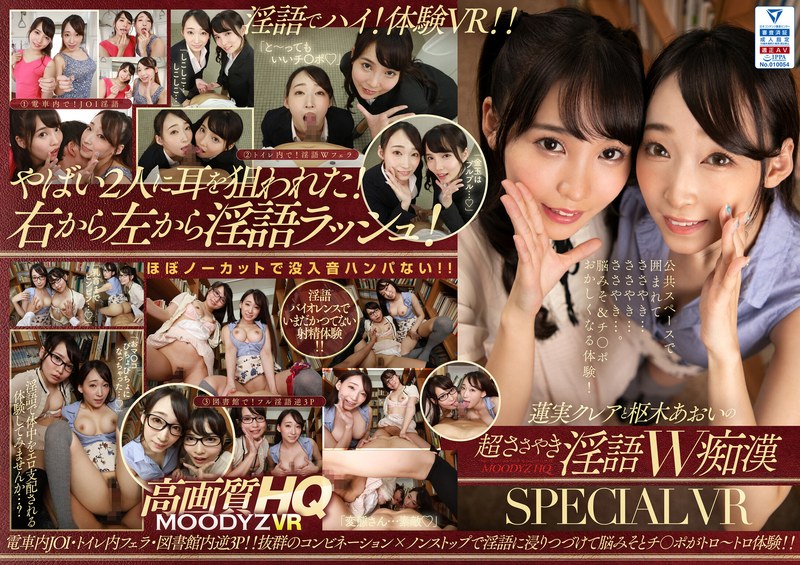 5356 mdvr00134