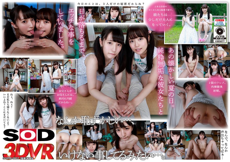 【VR】マセガキ娘とウブ娘。駄菓子屋の奥に仲良し2人組を連れ込んで、セミの声をかき消すほどに喘がせた3P! 9 5512 13dsvr00807
